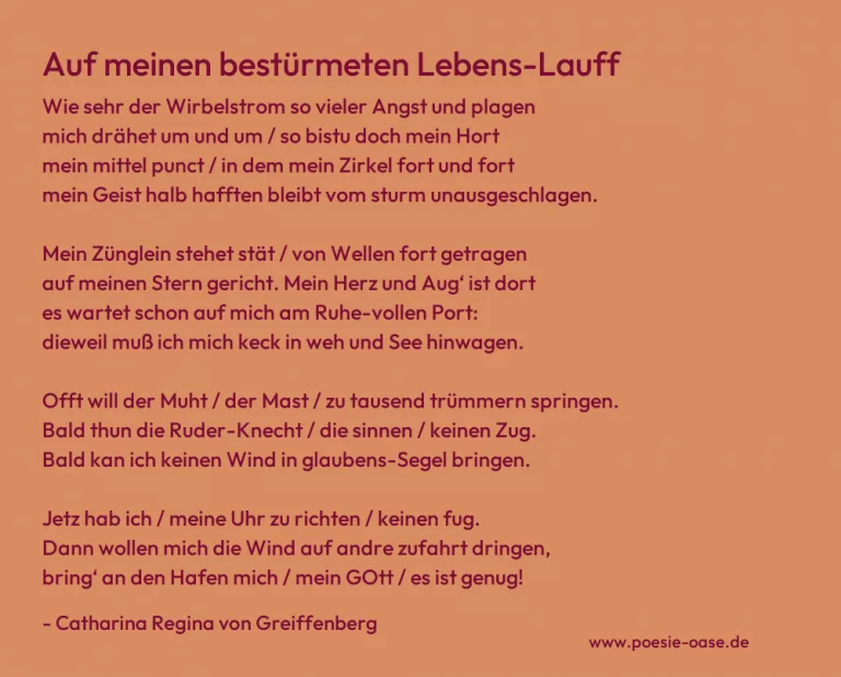 Auf meinen bestürmeten Lebens-Lauff