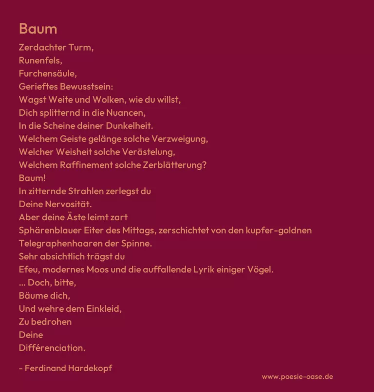 Baum