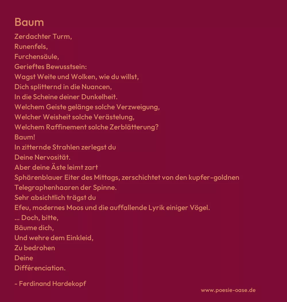 Gedicht: Baum von Ferdinand Hardekopf