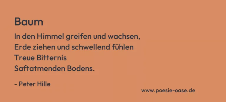 Baum
