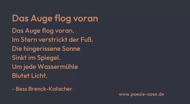 Das Auge flog voran