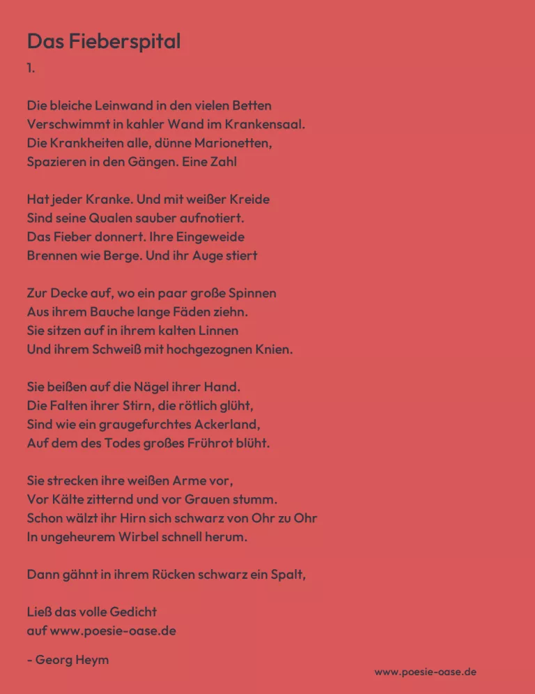 Das Fieberspital