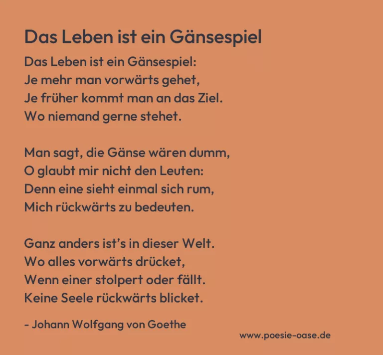 Das Leben ist ein Gänsespiel