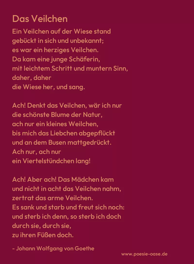 Gedicht: Das Veilchen von Johann Wolfgang von Goethe