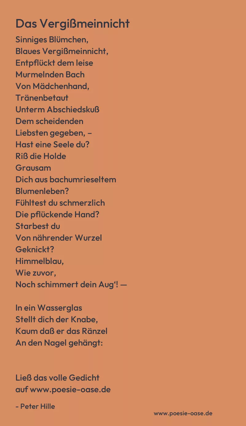 Gedicht: Das Vergißmeinnicht von Peter Hille
