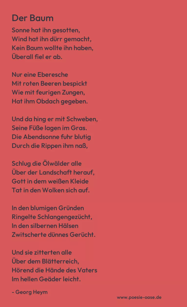 Der Baum
