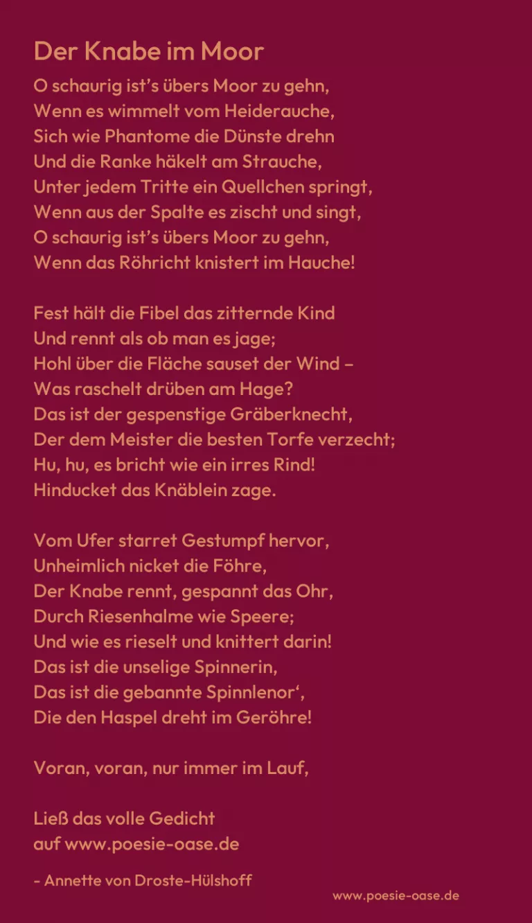 Der Knabe im Moor