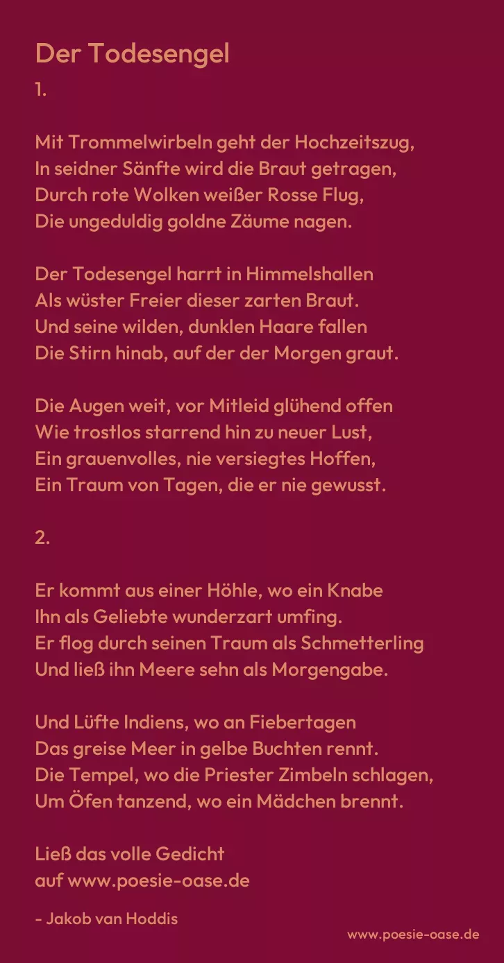 Gedicht: Der Todesengel von Jakob van Hoddis