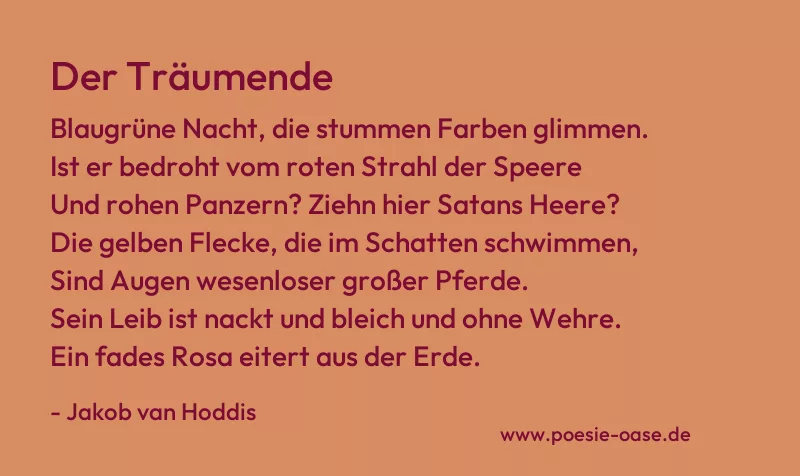 Gedicht: Der Träumende von Jakob van Hoddis
