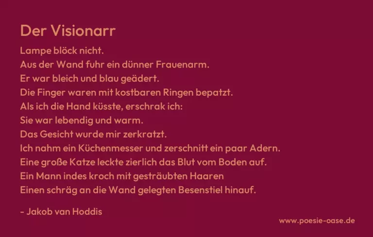Der Visionarr