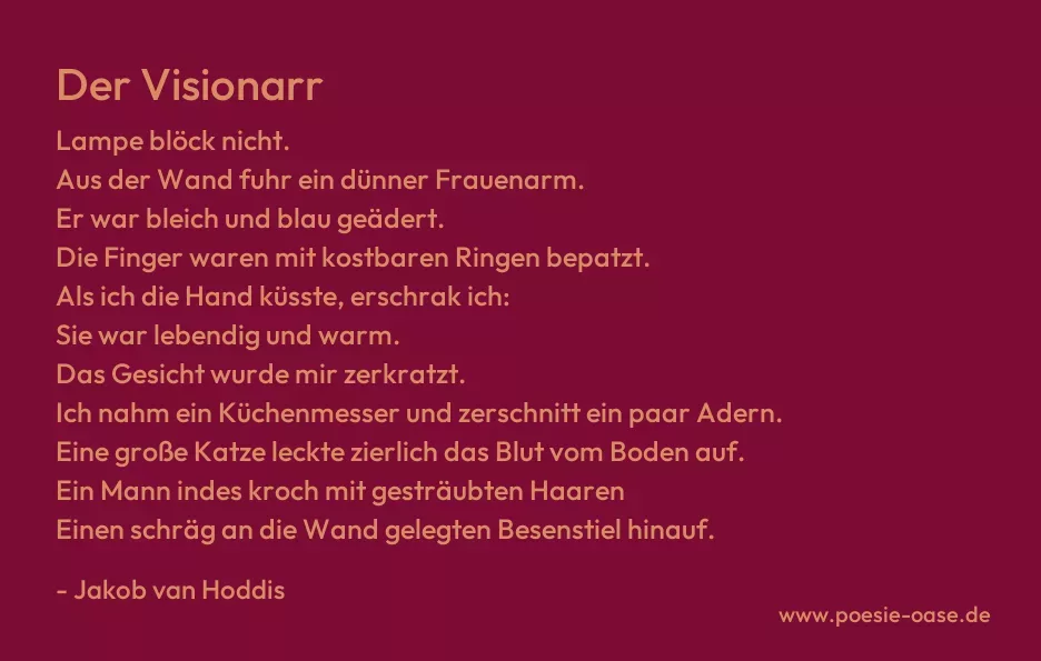 Gedicht: Der Visionarr von Jakob van Hoddis