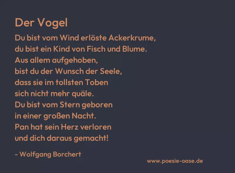 Der Vogel