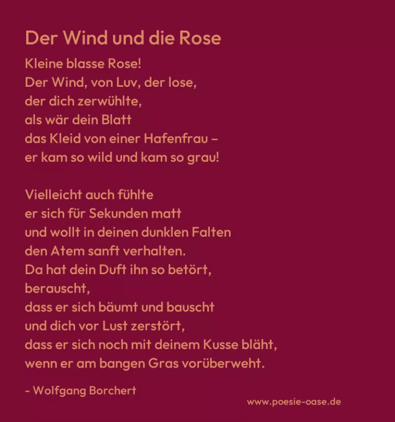 Der Wind und die Rose