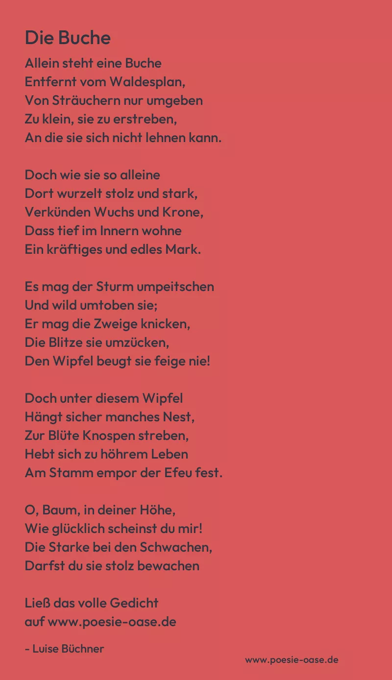 Gedicht: Die Buche von Luise Büchner