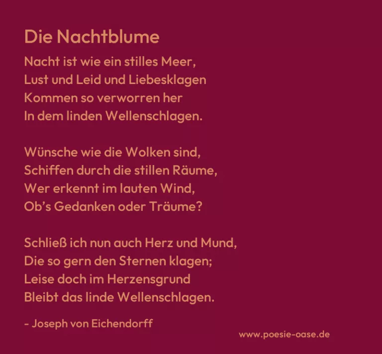 Die Nachtblume