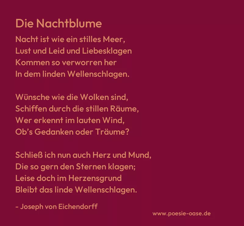 Gedicht: Die Nachtblume von Joseph von Eichendorff
