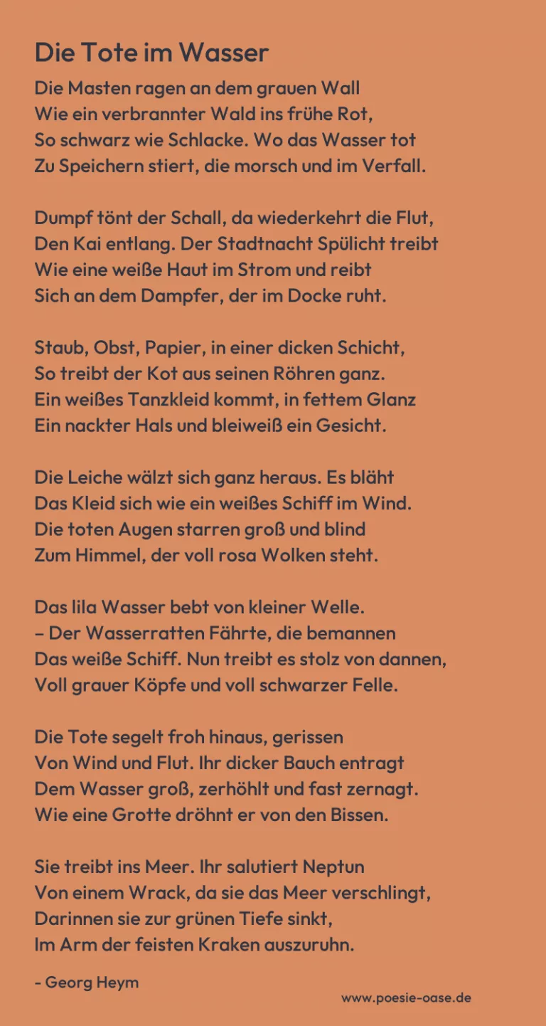 Die Tote im Wasser