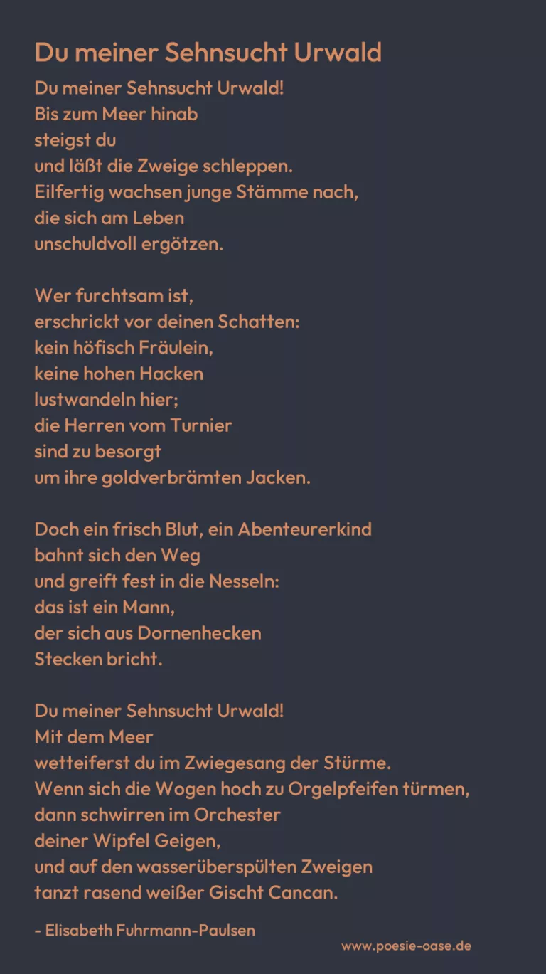 Du meiner Sehnsucht Urwald
