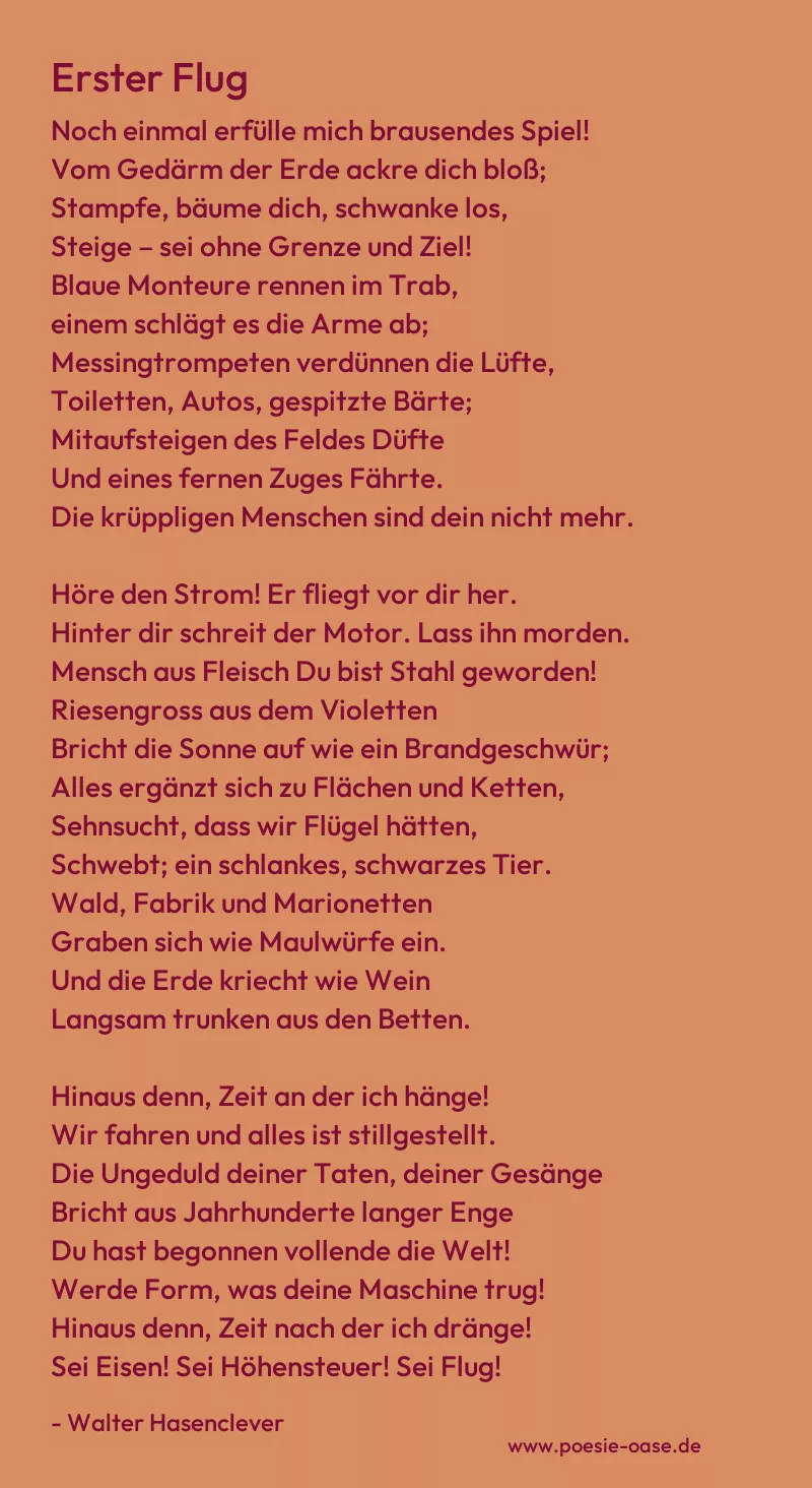 Gedicht: Erster Flug von Walter Hasenclever