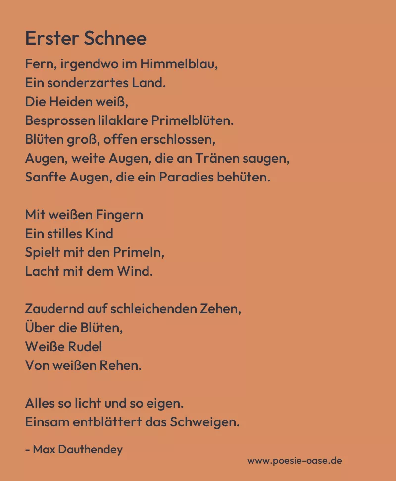 Gedicht: Erster Schnee von Max Dauthendey