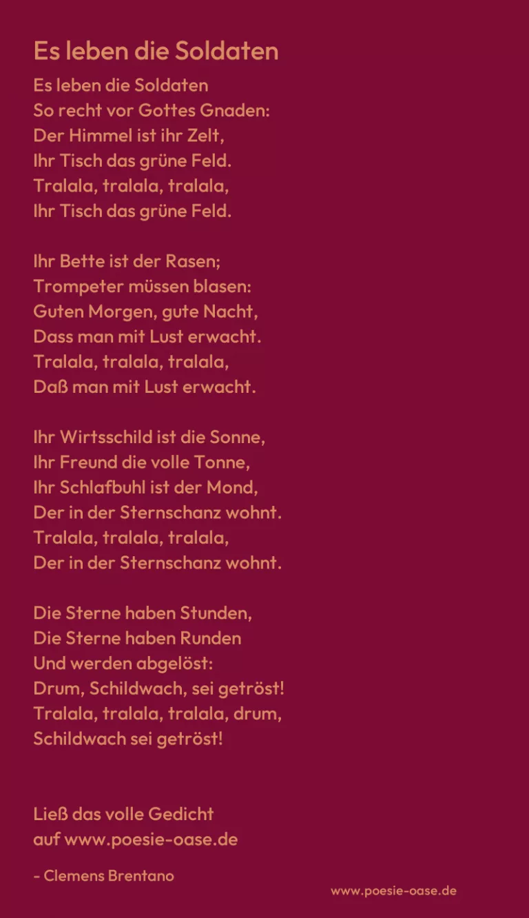 Es leben die Soldaten
