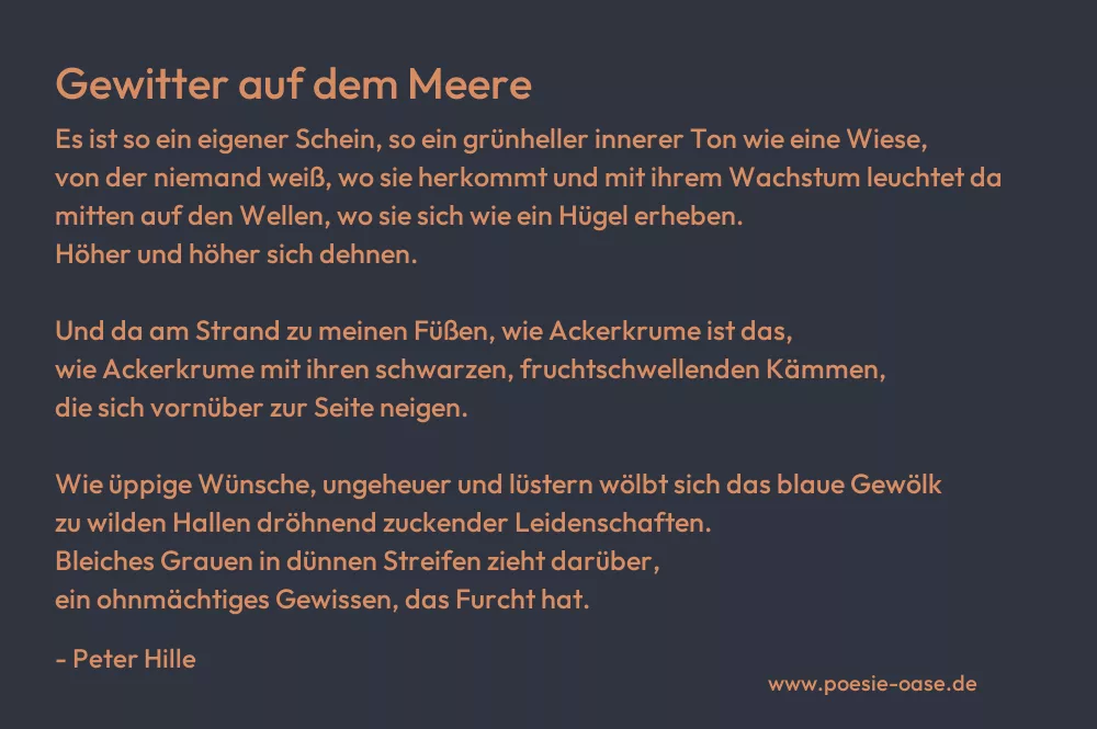 Gedicht: Gewitter auf dem Meere von Peter Hille
