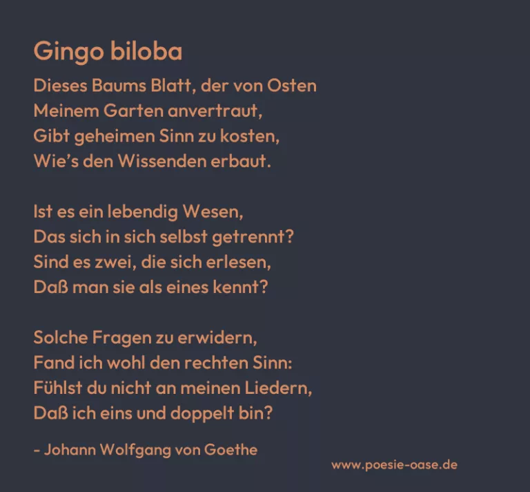 Gingo biloba