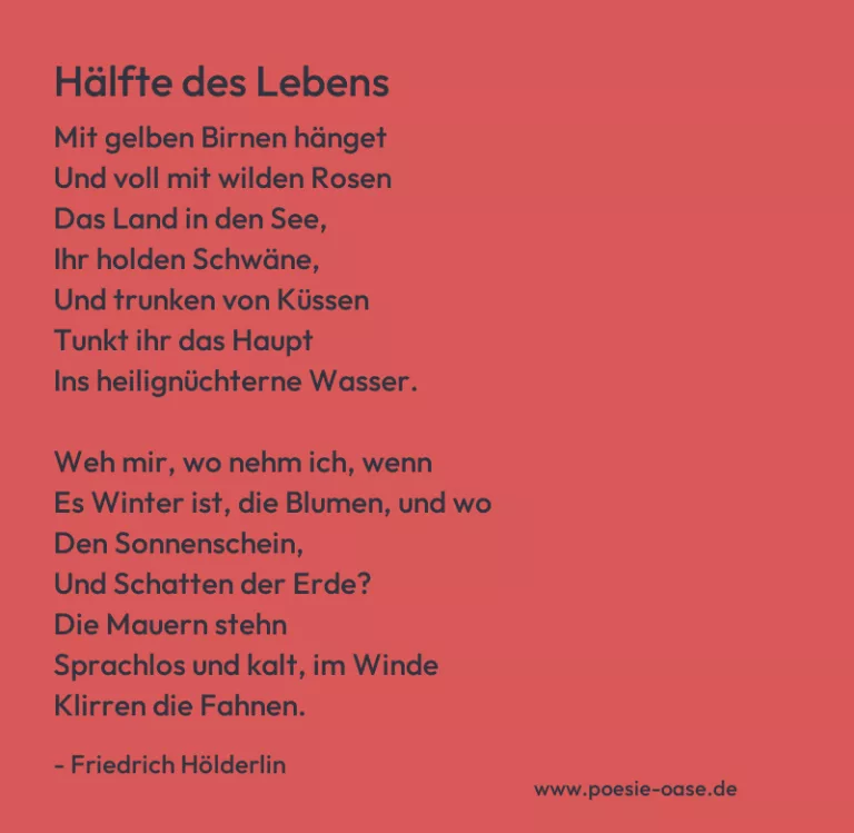 Hälfte des Lebens