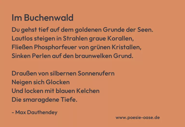 Im Buchenwald