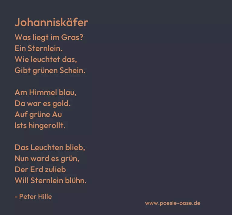 Johanniskäfer
