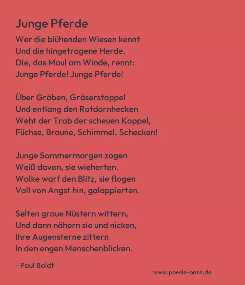Gedicht: Junge Pferde von Paul Boldt