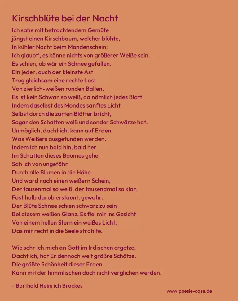 Kirschblüte bei der Nacht