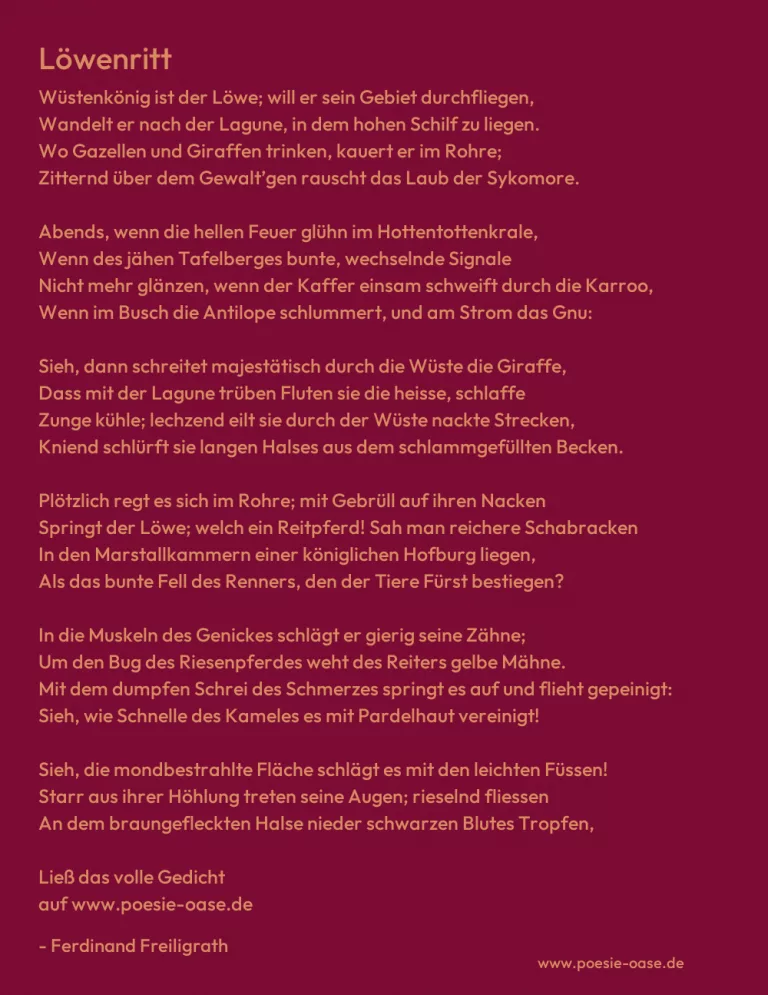 Löwenritt