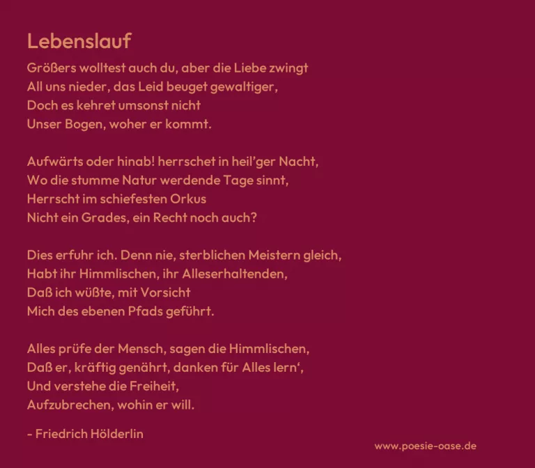 Lebenslauf