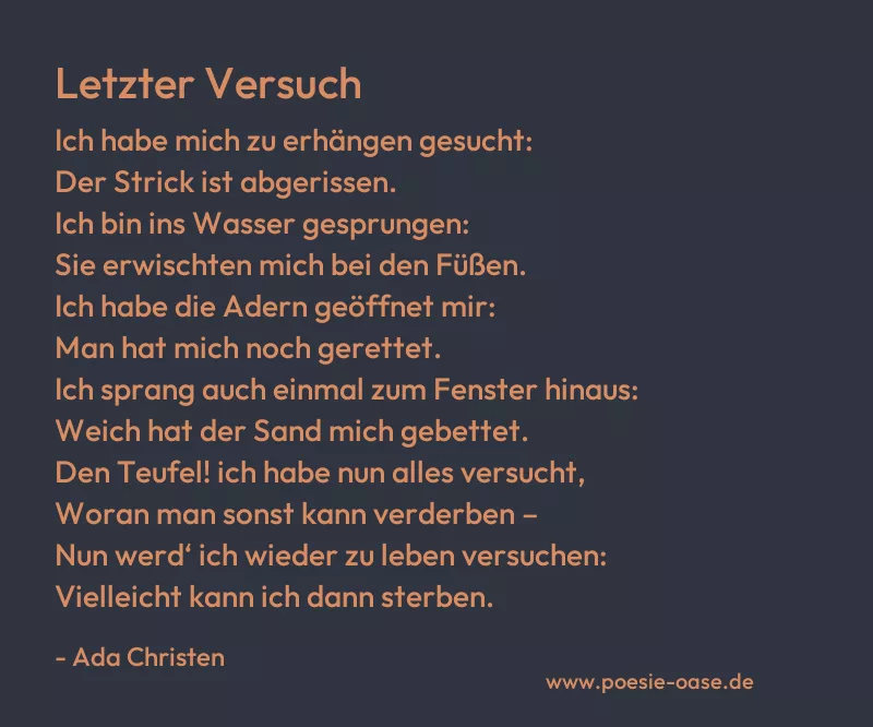 Gedicht: Letzter Versuch von Ada Christen