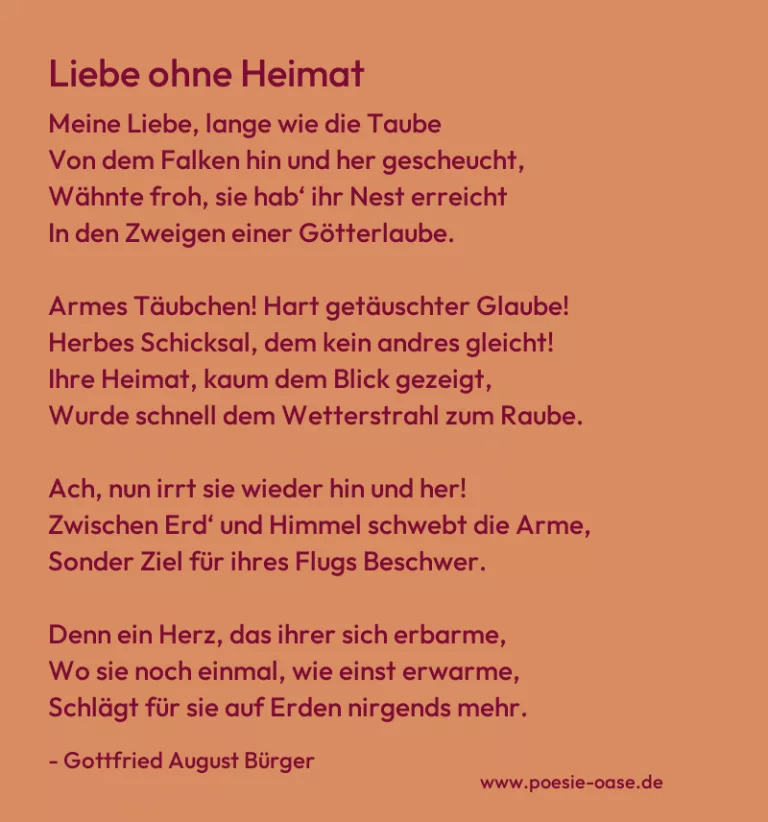 Liebe ohne Heimat
