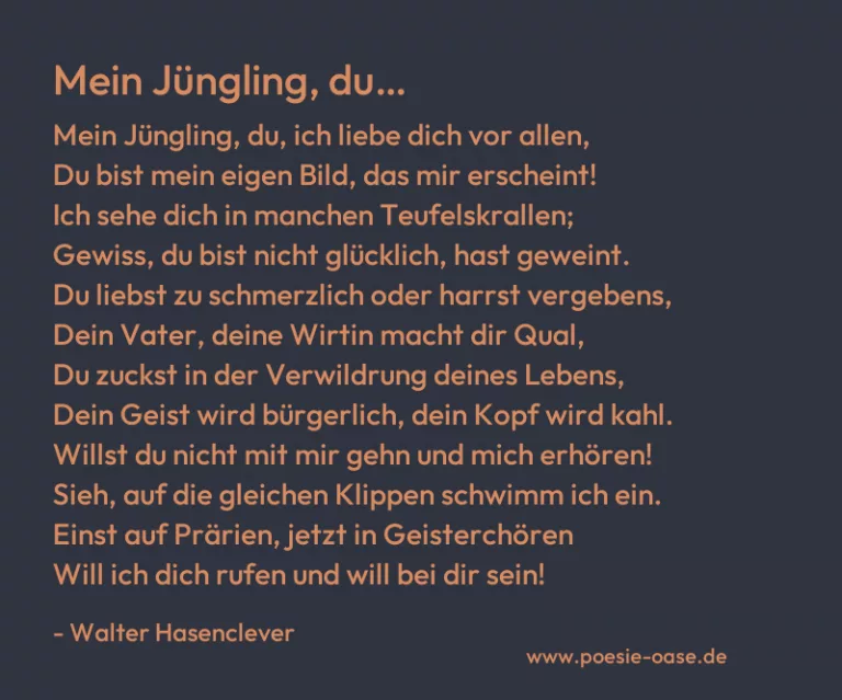 Mein Jüngling, du…