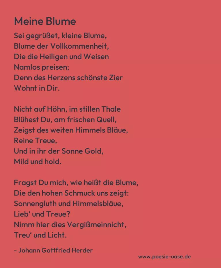 Meine Blume