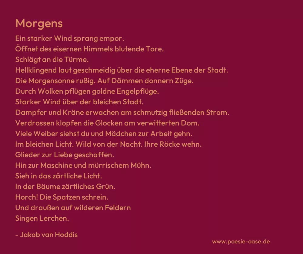 Gedicht: Morgens von Jakob van Hoddis
