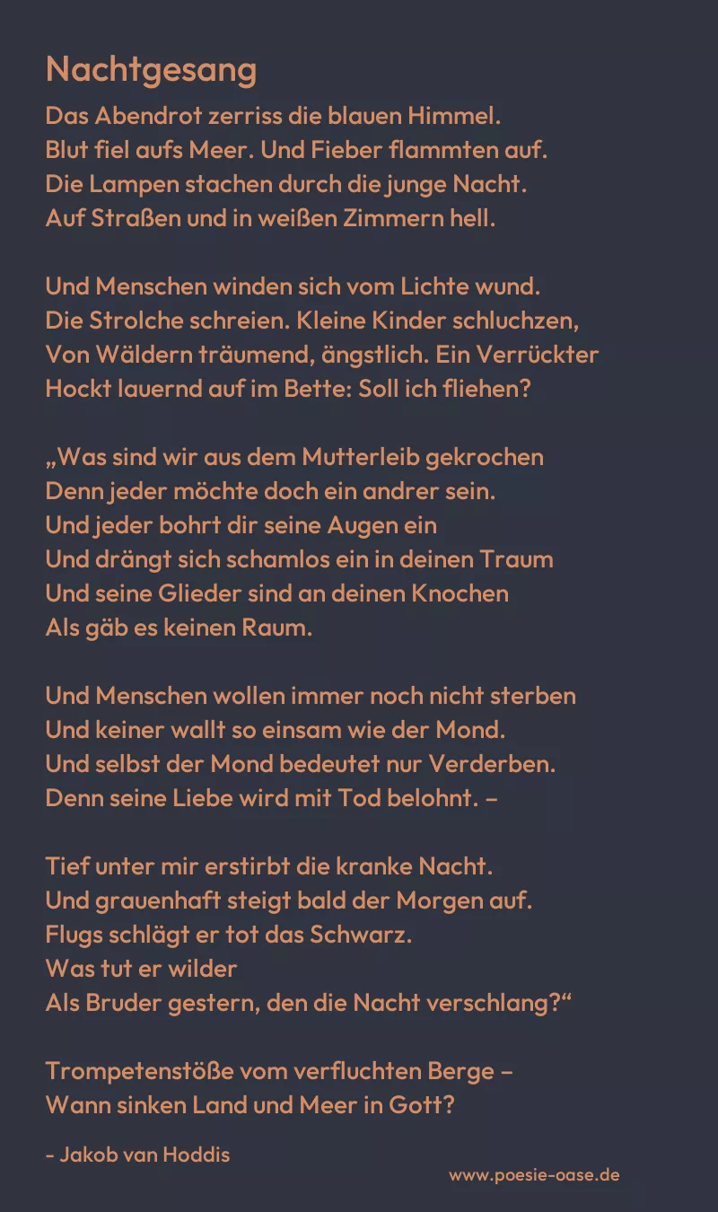 Gedicht: Nachtgesang von Jakob van Hoddis