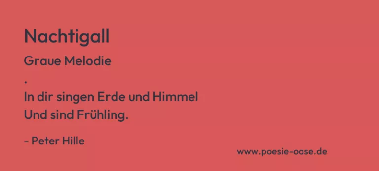 Nachtigall