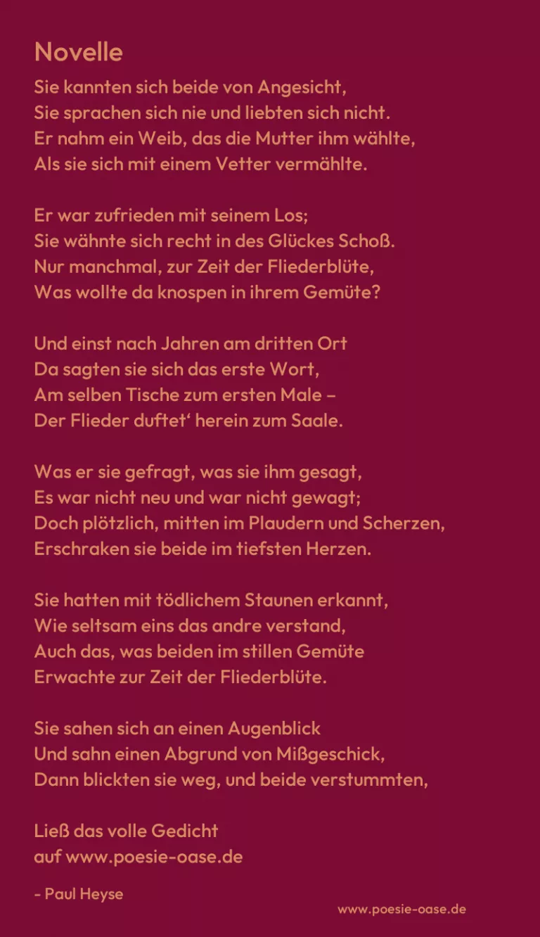 Novelle