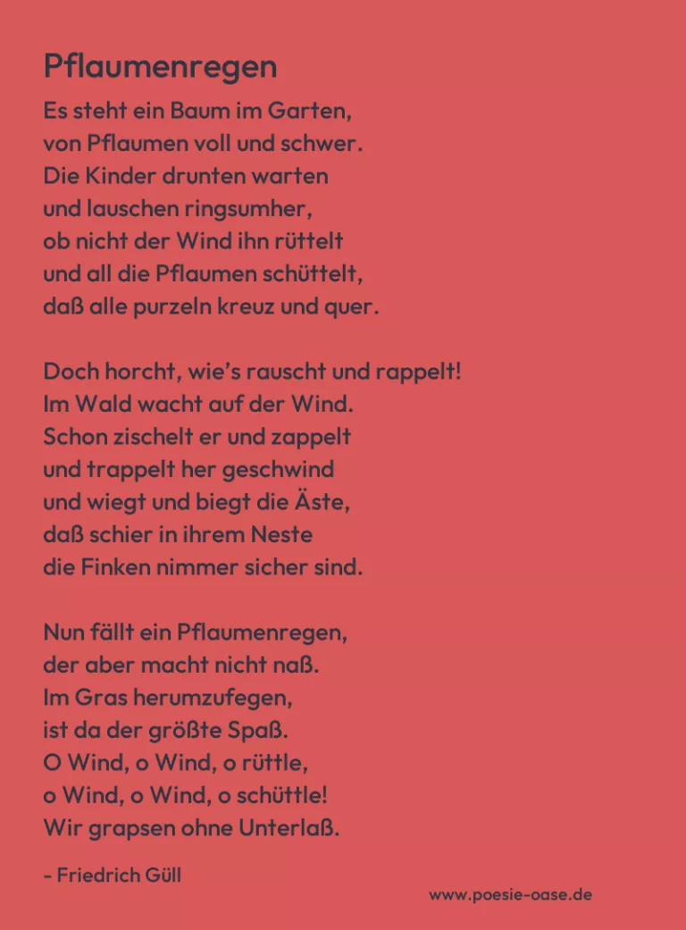Pflaumenregen