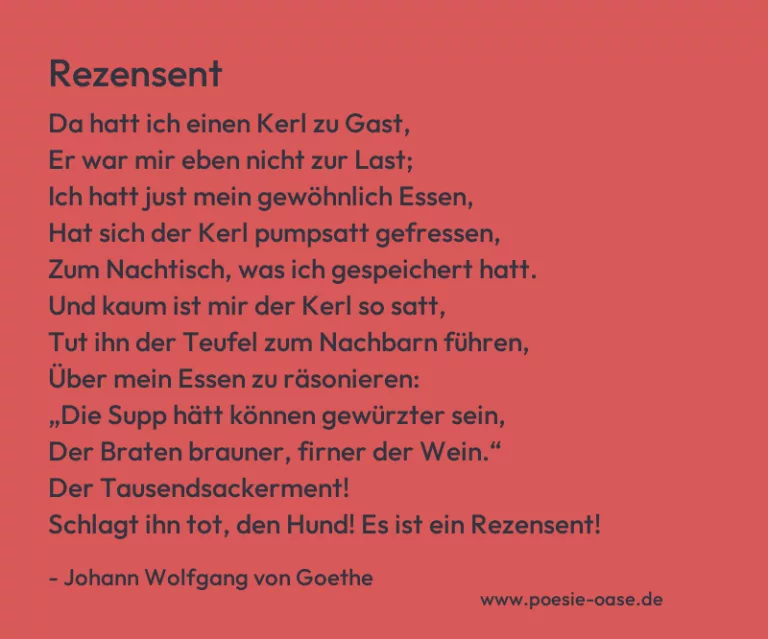 Rezensent
