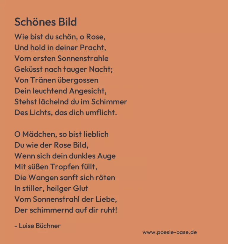 Schönes Bild
