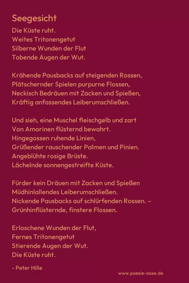 Seegesicht