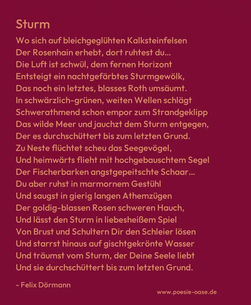 Gedicht: Sturm von Felix Dörmann