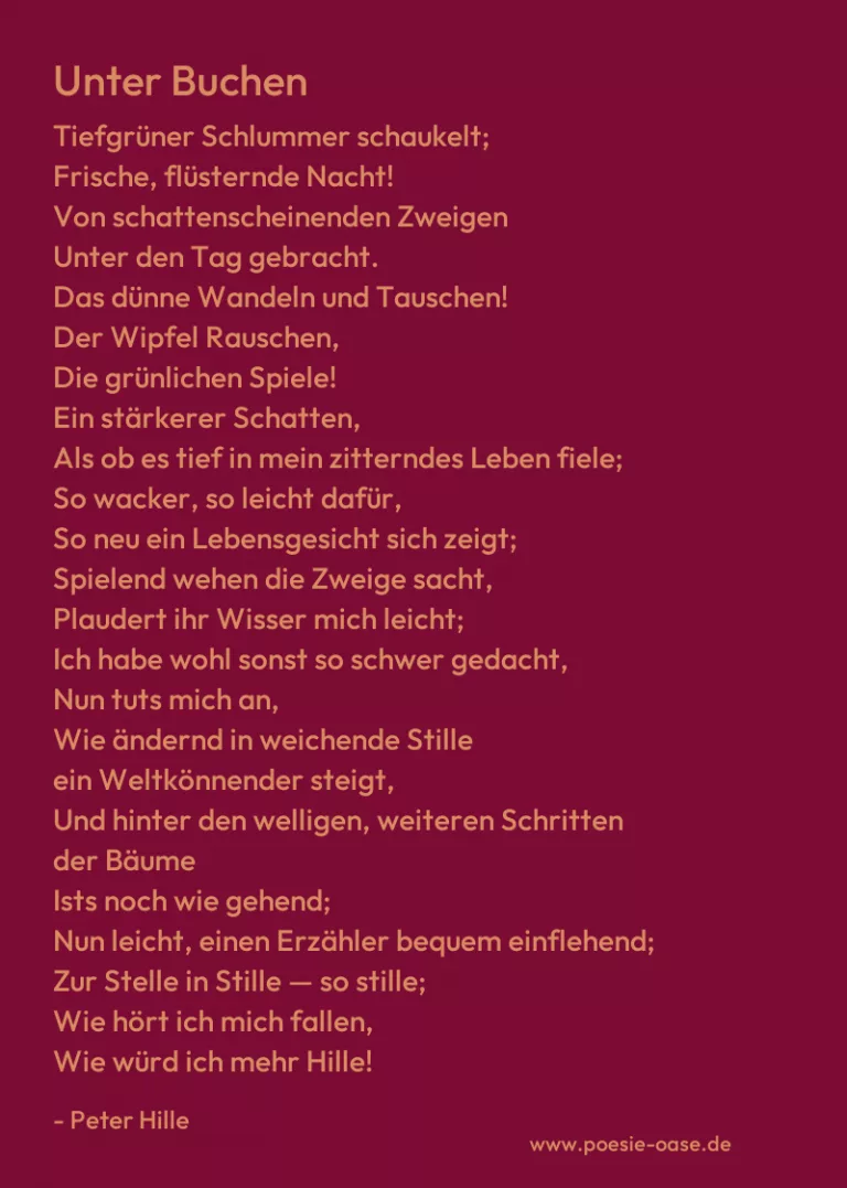 Unter Buchen