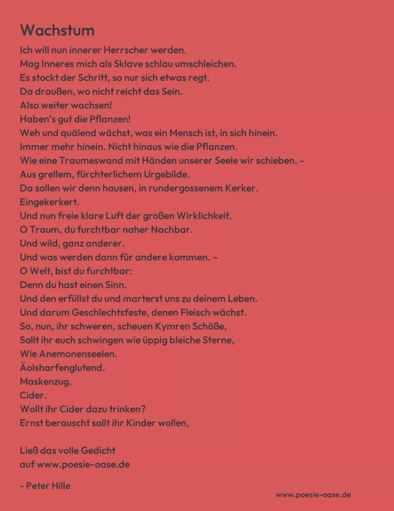 Wachstum