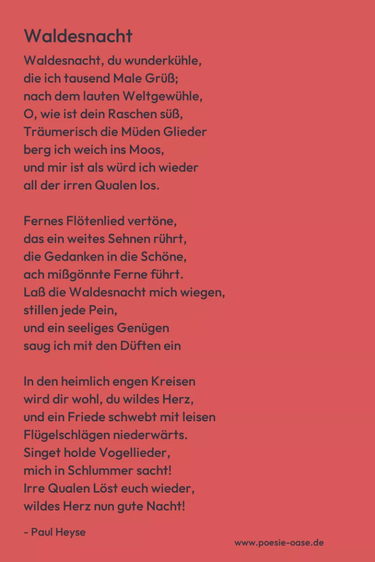 Waldesnacht